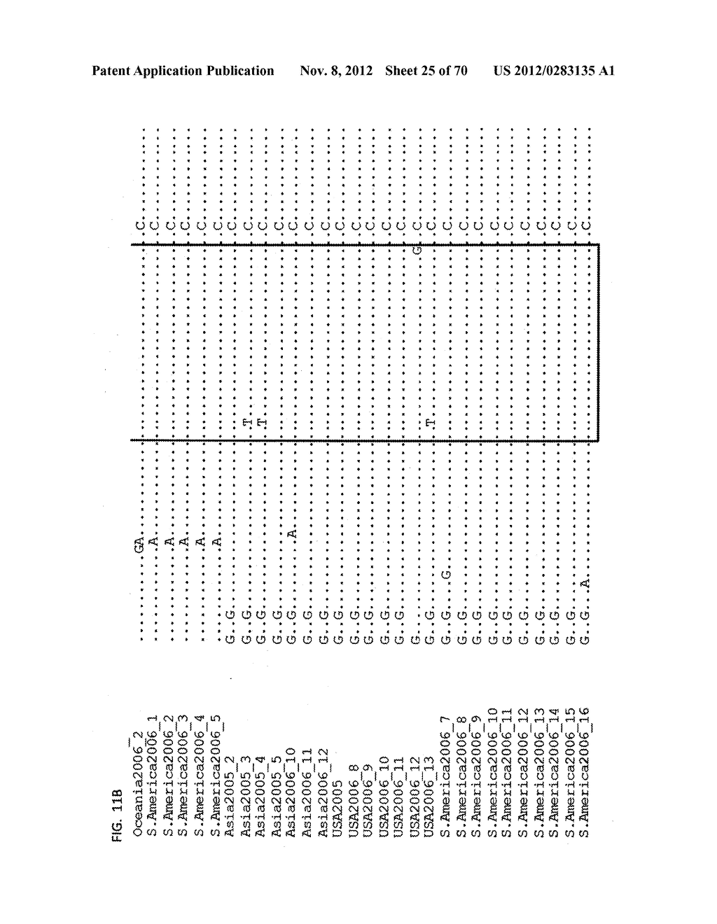 PRIMERS AND PROBES FOR DETECTION AND DISCRIMINATION OF TYPES AND SUBTYPES     OF INFLUENZA VIRUSES - diagram, schematic, and image 26