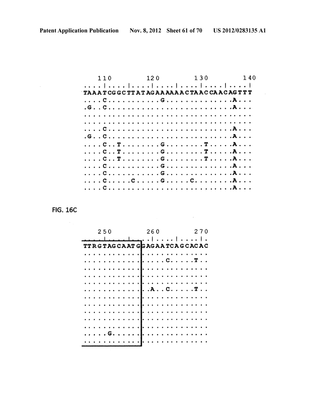 PRIMERS AND PROBES FOR DETECTION AND DISCRIMINATION OF TYPES AND SUBTYPES     OF INFLUENZA VIRUSES - diagram, schematic, and image 62