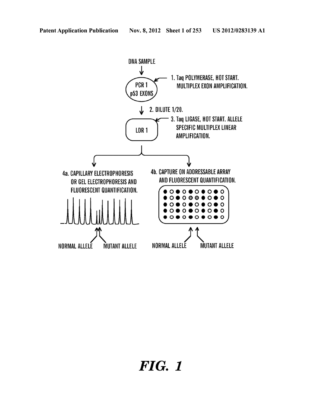 METHOD OF DESIGNING ADDRESSABLE ARRAY SUITABLE FOR DETECTION OF NUCLEIC     ACID SEQUENCE DIFFERENCES USING LIGASE DETECTION REACTION - diagram, schematic, and image 02