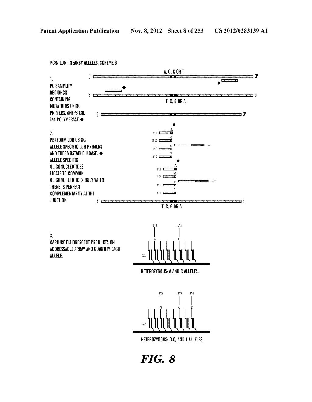 METHOD OF DESIGNING ADDRESSABLE ARRAY SUITABLE FOR DETECTION OF NUCLEIC     ACID SEQUENCE DIFFERENCES USING LIGASE DETECTION REACTION - diagram, schematic, and image 09