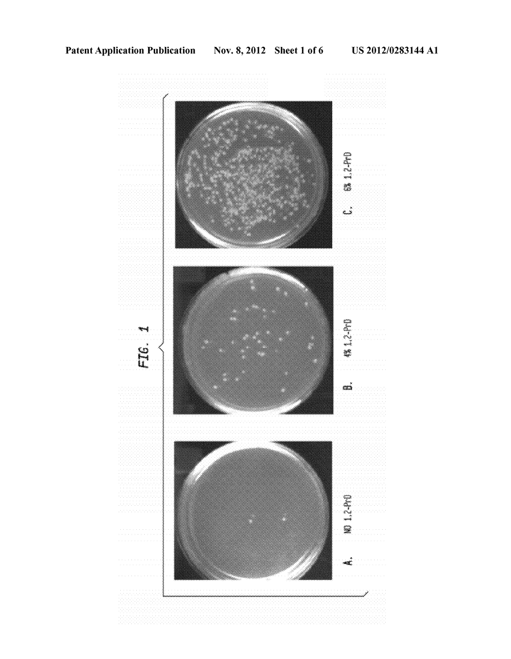 Ligation Enhancement - diagram, schematic, and image 02