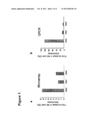 METHOD OF REDUCING CELL DEATH BY ADMINISTERING A PARACRINE FACTOR OF A     MESENCHYMAL STEM CELL diagram and image