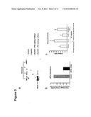 METHOD OF REDUCING CELL DEATH BY ADMINISTERING A PARACRINE FACTOR OF A     MESENCHYMAL STEM CELL diagram and image