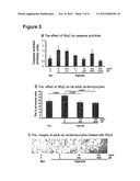 METHOD OF REDUCING CELL DEATH BY ADMINISTERING A PARACRINE FACTOR OF A     MESENCHYMAL STEM CELL diagram and image