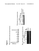 METHOD OF REDUCING CELL DEATH BY ADMINISTERING A PARACRINE FACTOR OF A     MESENCHYMAL STEM CELL diagram and image