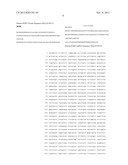 METHOD OF REDUCING CELL DEATH BY ADMINISTERING A PARACRINE FACTOR OF A     MESENCHYMAL STEM CELL diagram and image