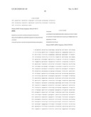 METHOD OF REDUCING CELL DEATH BY ADMINISTERING A PARACRINE FACTOR OF A     MESENCHYMAL STEM CELL diagram and image