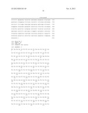 METHOD OF REDUCING CELL DEATH BY ADMINISTERING A PARACRINE FACTOR OF A     MESENCHYMAL STEM CELL diagram and image