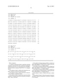 METHOD OF REDUCING CELL DEATH BY ADMINISTERING A PARACRINE FACTOR OF A     MESENCHYMAL STEM CELL diagram and image