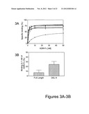 INHIBITORS OF TYPE 2 VASCULAR ENDOTHELIAL GROWTH FACTOR RECEPTORS diagram and image