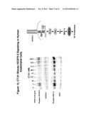 INHIBITORS OF TYPE 2 VASCULAR ENDOTHELIAL GROWTH FACTOR RECEPTORS diagram and image