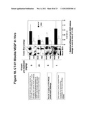 INHIBITORS OF TYPE 2 VASCULAR ENDOTHELIAL GROWTH FACTOR RECEPTORS diagram and image