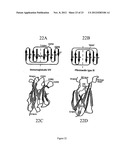 INHIBITORS OF TYPE 2 VASCULAR ENDOTHELIAL GROWTH FACTOR RECEPTORS diagram and image