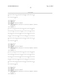 INHIBITORS OF TYPE 2 VASCULAR ENDOTHELIAL GROWTH FACTOR RECEPTORS diagram and image