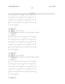 INHIBITORS OF TYPE 2 VASCULAR ENDOTHELIAL GROWTH FACTOR RECEPTORS diagram and image