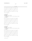 INHIBITORS OF TYPE 2 VASCULAR ENDOTHELIAL GROWTH FACTOR RECEPTORS diagram and image