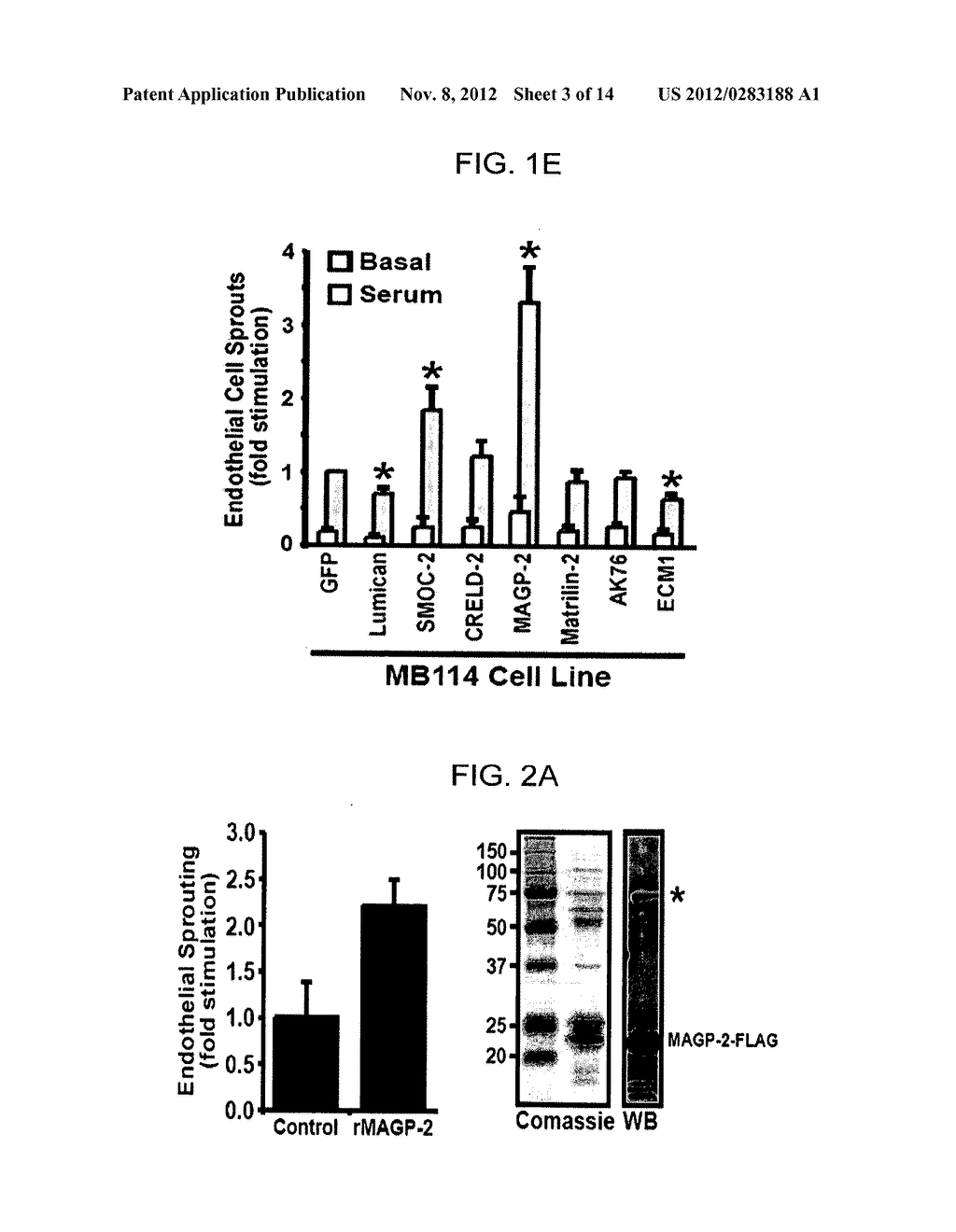 GENES AND PROTEINS ASSOCIATED WITH ANGIOGENESIS AND USES THEREOF - diagram, schematic, and image 04