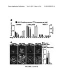 MANIPULATION OF BRAIN IN A CIRCUIT-SPECIFIC MANNER diagram and image