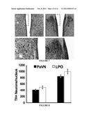 MANIPULATION OF BRAIN IN A CIRCUIT-SPECIFIC MANNER diagram and image