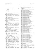 BETA-HAIRPIN PEPTIDOMIMETICS diagram and image