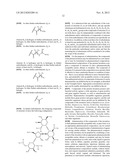 ANTIBACTERIAL AMINOGLYCOSIDE ANALOGS diagram and image