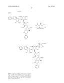 ANTIBACTERIAL AMINOGLYCOSIDE ANALOGS diagram and image