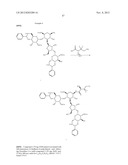 ANTIBACTERIAL AMINOGLYCOSIDE ANALOGS diagram and image