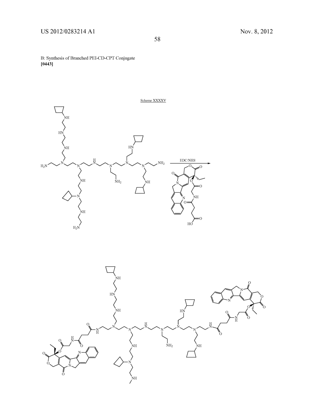 CYCLODEXTRIN-BASED POLYMERS FOR THERAPEUTICS DELIVERY - diagram, schematic, and image 70