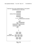 MODIFICATIONS OF SOLID 3-sn-PHOSPHOGLYCERIDES diagram and image