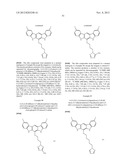 Analogs of Indole-3-Carbinol and Their Use as Agents Against Infection diagram and image