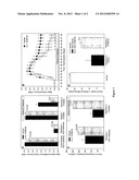 INDAZOLE DERIVATIVES AND THEIR USE FOR BLOCKADING VOLTAGE DEPENDENT SODIUM     CHANNELS diagram and image