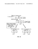 MOUSE MODEL FOR AVM diagram and image