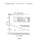 MOUSE MODEL FOR AVM diagram and image