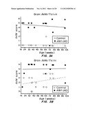 MOUSE MODEL FOR AVM diagram and image