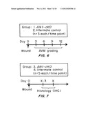 MOUSE MODEL FOR AVM diagram and image