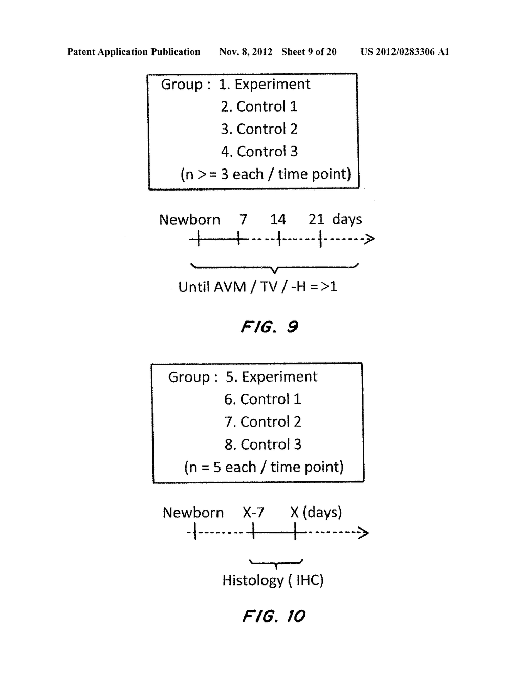 MOUSE MODEL FOR AVM - diagram, schematic, and image 10