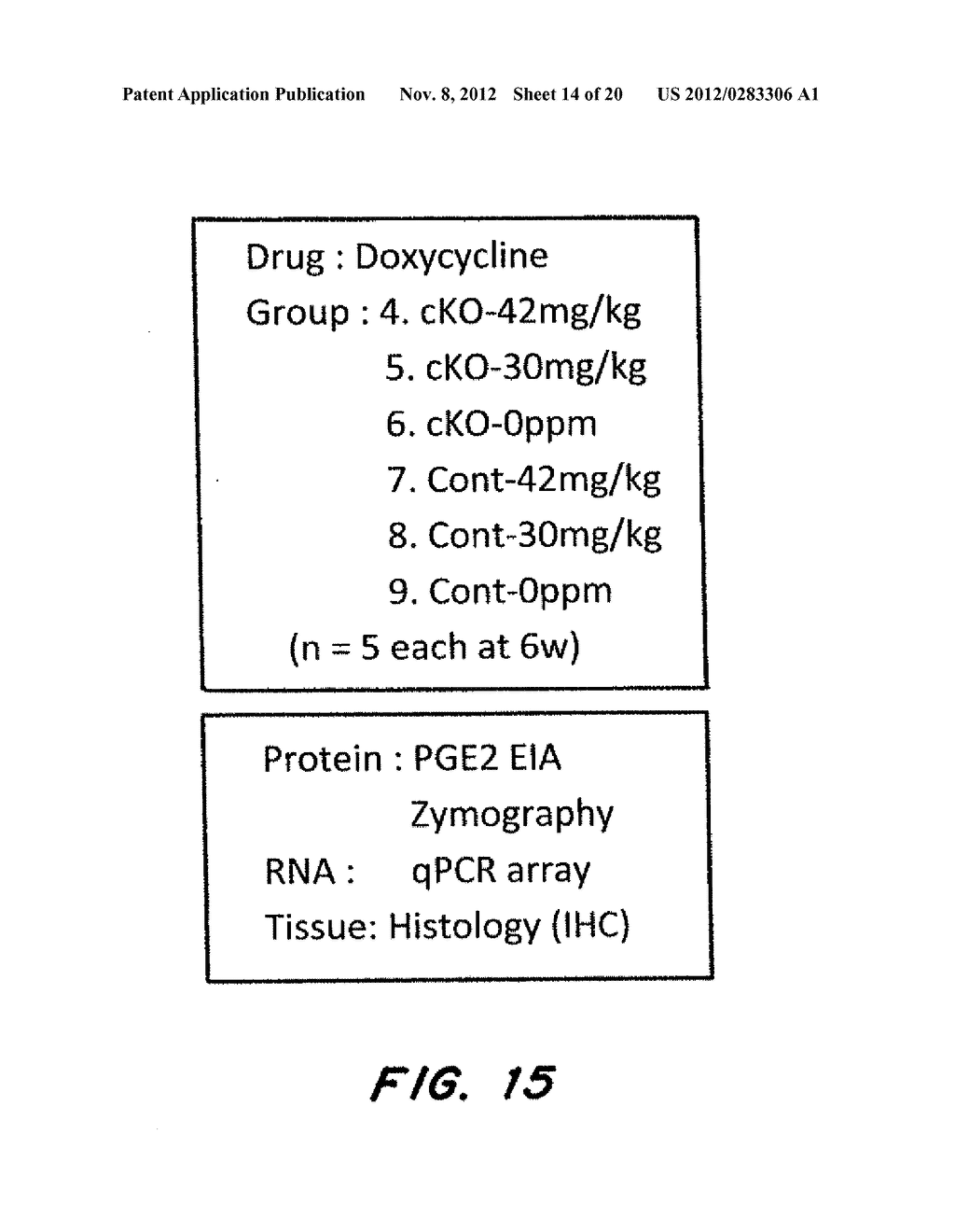 MOUSE MODEL FOR AVM - diagram, schematic, and image 15