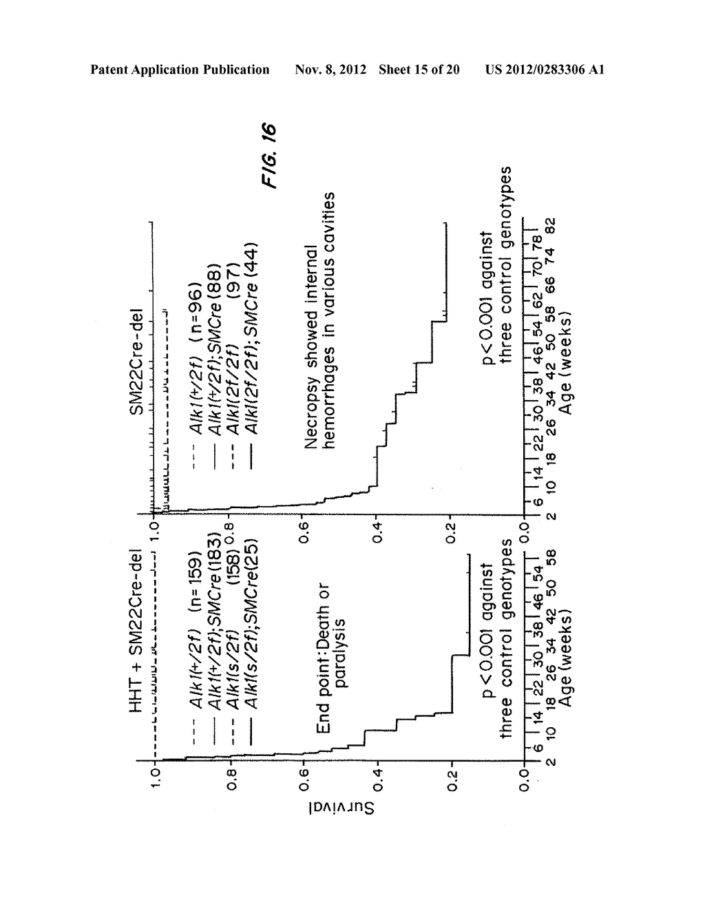 MOUSE MODEL FOR AVM - diagram, schematic, and image 16