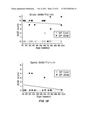 MOUSE MODEL FOR AVM diagram and image