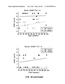 MOUSE MODEL FOR AVM diagram and image