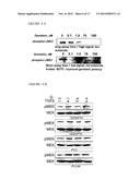 INHIBITION AND TREATMENT OF PROSTATE CANCER METASTASIS diagram and image