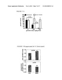 INHIBITION AND TREATMENT OF PROSTATE CANCER METASTASIS diagram and image