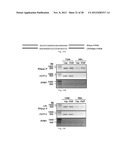 Methods and Compositions for Regulating RNA Import into Mitochondria diagram and image