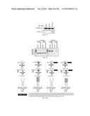 Methods and Compositions for Regulating RNA Import into Mitochondria diagram and image