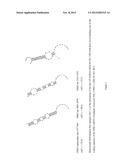 OLIGOMERIC COMPOUNDS AND COMPOSITIONS FOR USE IN MODULATION OF SMALL     NON-CODING RNAS diagram and image