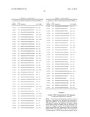 OLIGOMERIC COMPOUNDS AND COMPOSITIONS FOR USE IN MODULATION OF SMALL     NON-CODING RNAS diagram and image