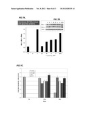 S ISOMERS OF ALPHA-METHYL HYDROCINNAMIC ACID FOR THE TREATMENT OF BLOOD     DISORDERS diagram and image