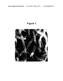 CATALYSTS FOR THE CONVERSION OF SYNTHESIS GAS TO ALCOHOLS diagram and image