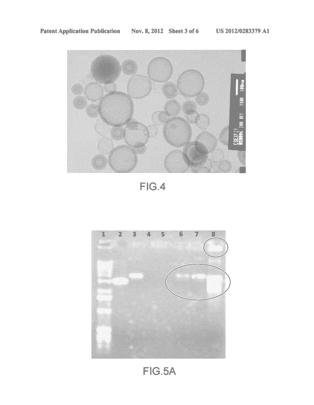 SILICA PARTICLE INCLUDING A MOLECULE OF INTEREST, METHOD FOR PREPARING     SAME AND USES THEREOF - diagram, schematic, and image 04