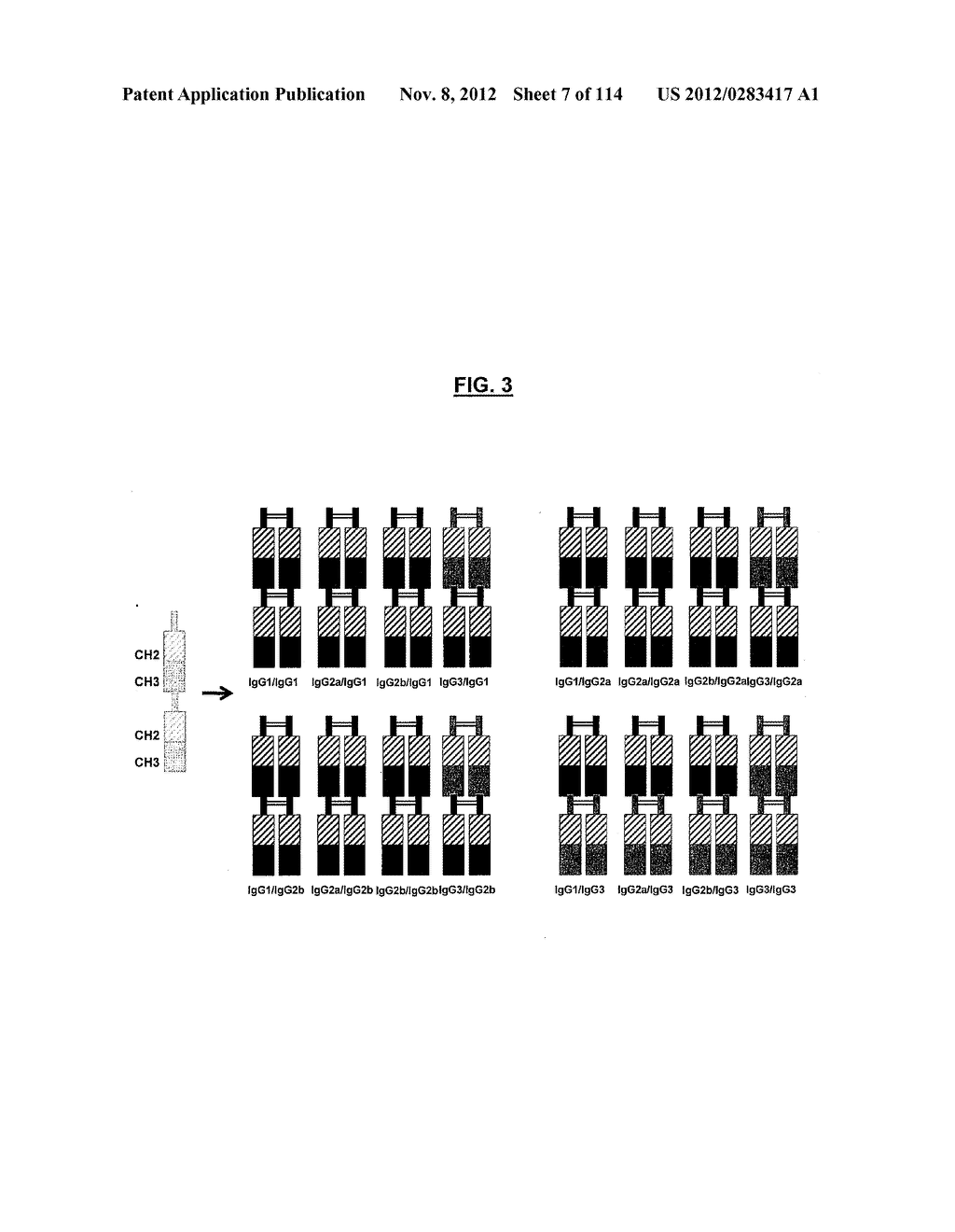 POLYPEPTIDES COMPRISING Fc FRAGMENTS OF IMMUNOGLOBULIN G (IgG) AND METHODS     OF USING THE SAME - diagram, schematic, and image 08